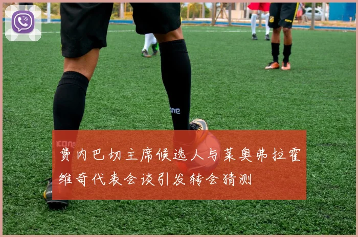 费内巴切主席候选人与莱奥弗拉霍维奇代表会谈引发转会猜测
