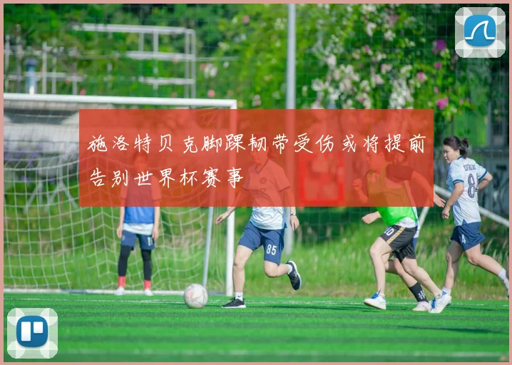 施洛特贝克脚踝韧带受伤或将提前告别世界杯赛事