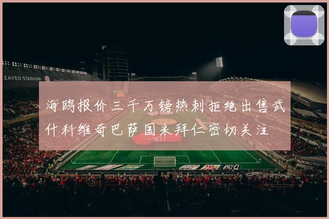 海鸥报价三千万镑热刺拒绝出售武什科维奇巴萨国米拜仁密切关注